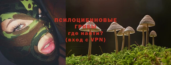 амф Бронницы